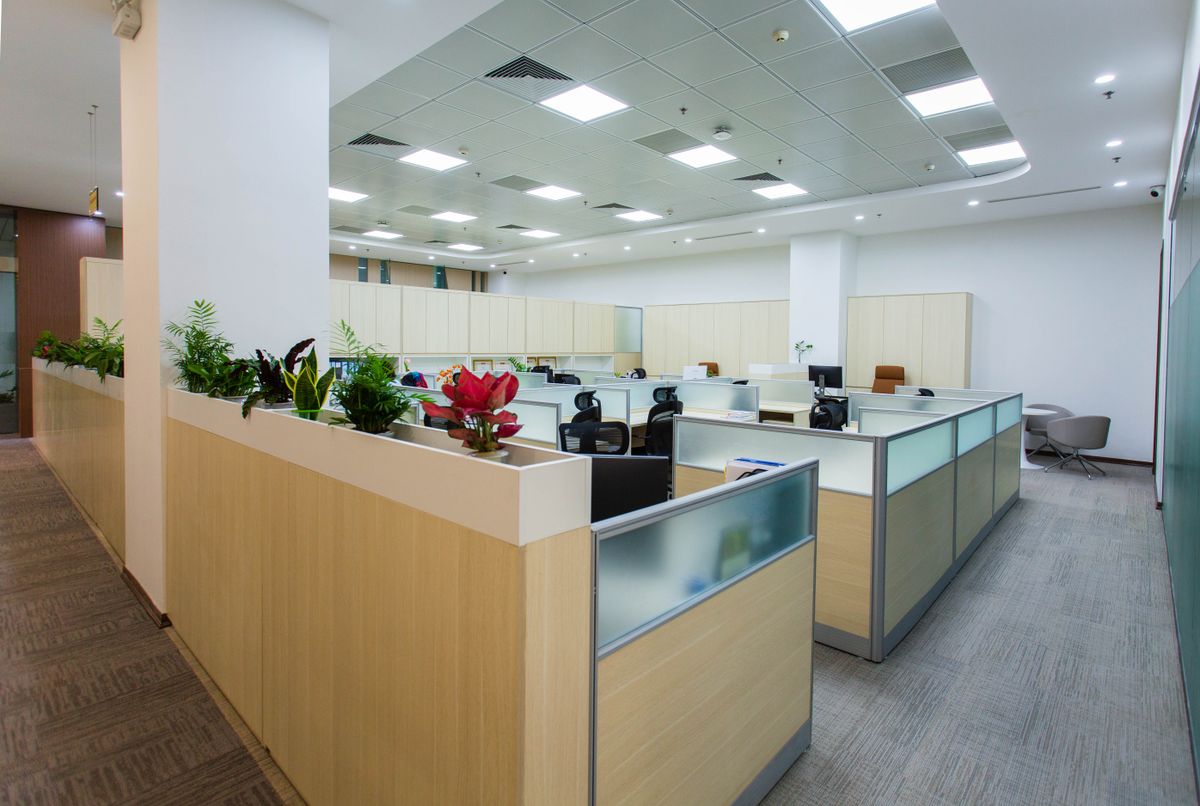 Open-plan commercial office fit-out interior